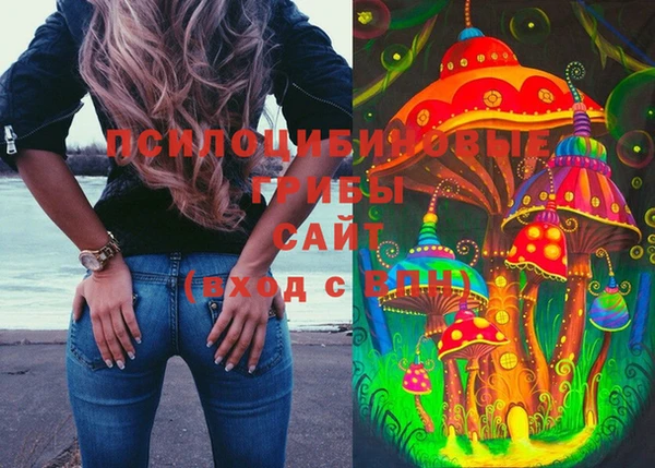 прущие крисы Алзамай