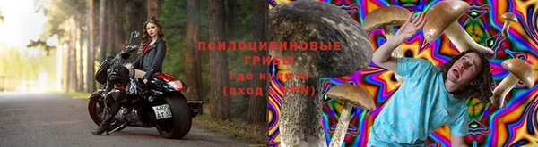 прущие крисы Алзамай