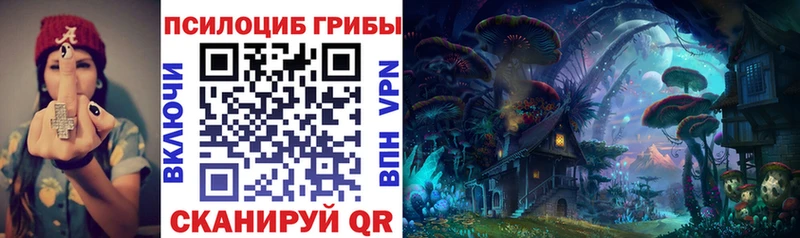 Псилоцибиновые грибы MAGIC MUSHROOMS  цены наркотик  Заозёрный 