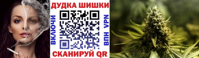 купить наркоту  Заозёрный  Шишки марихуана сатива 